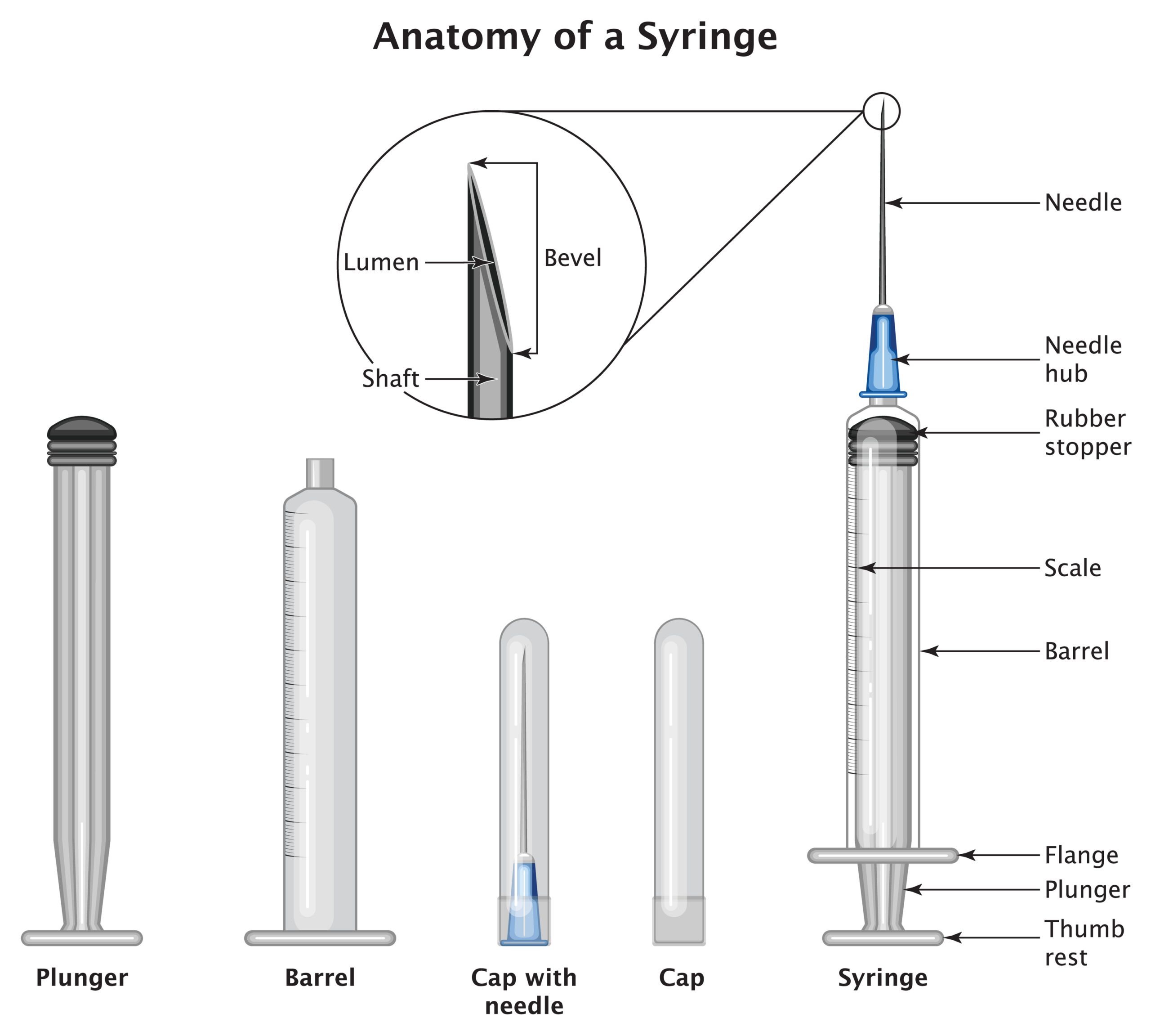 A Simple Guide To Medical Needles & Syringes   FAQs