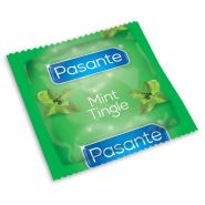 Pasante Mint Tingle Flavoured Condoms alternative