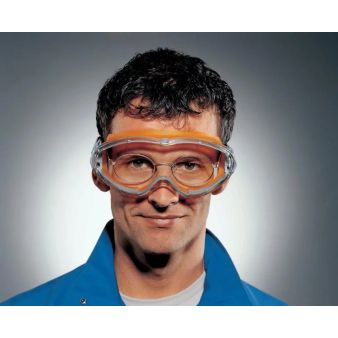 Uvex Ultrasonic Goggle Clear alternative