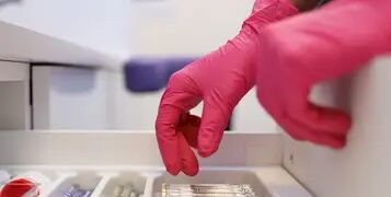 aurelia_blush_-_website_v1