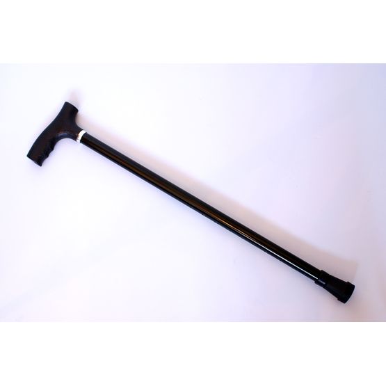 Walking Stick